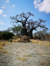 Nearby Kubu Island.