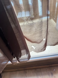 Curtains
