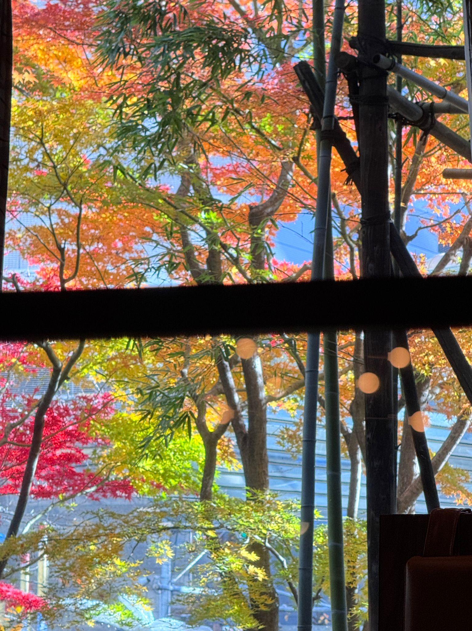 lovely view of the garden at the hotel cafe during bf 