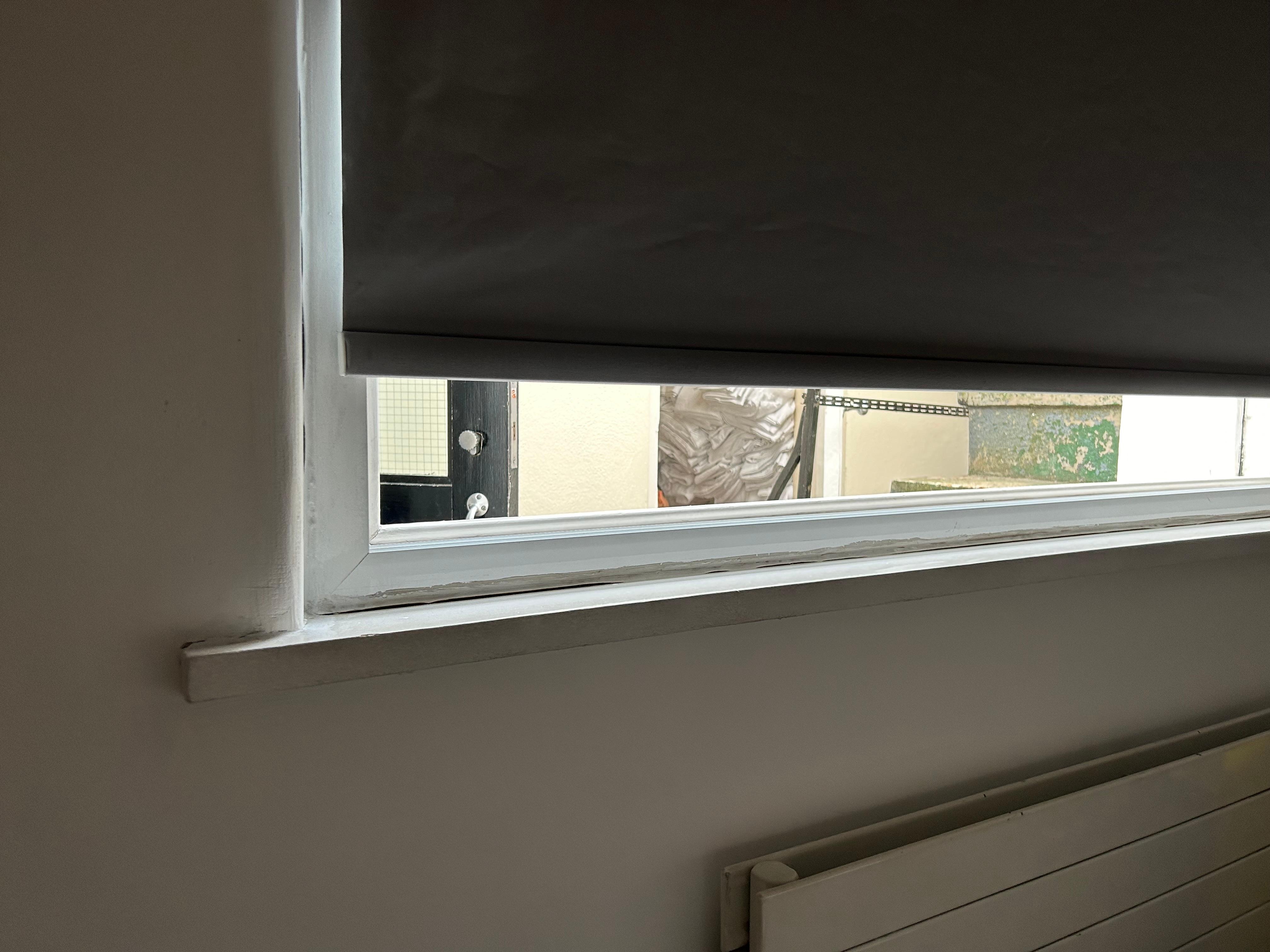 Cellar window, room 18.