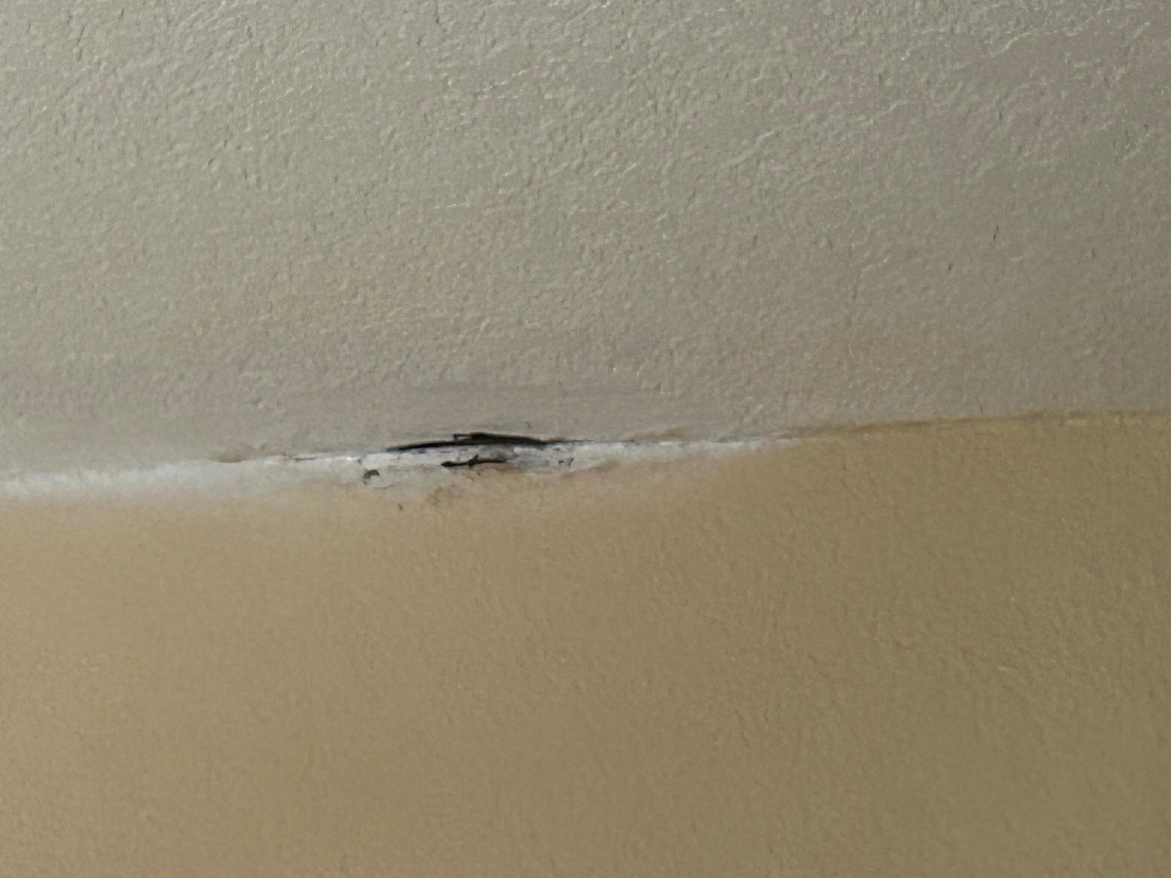 The ceiling needs repair for a possible leak.