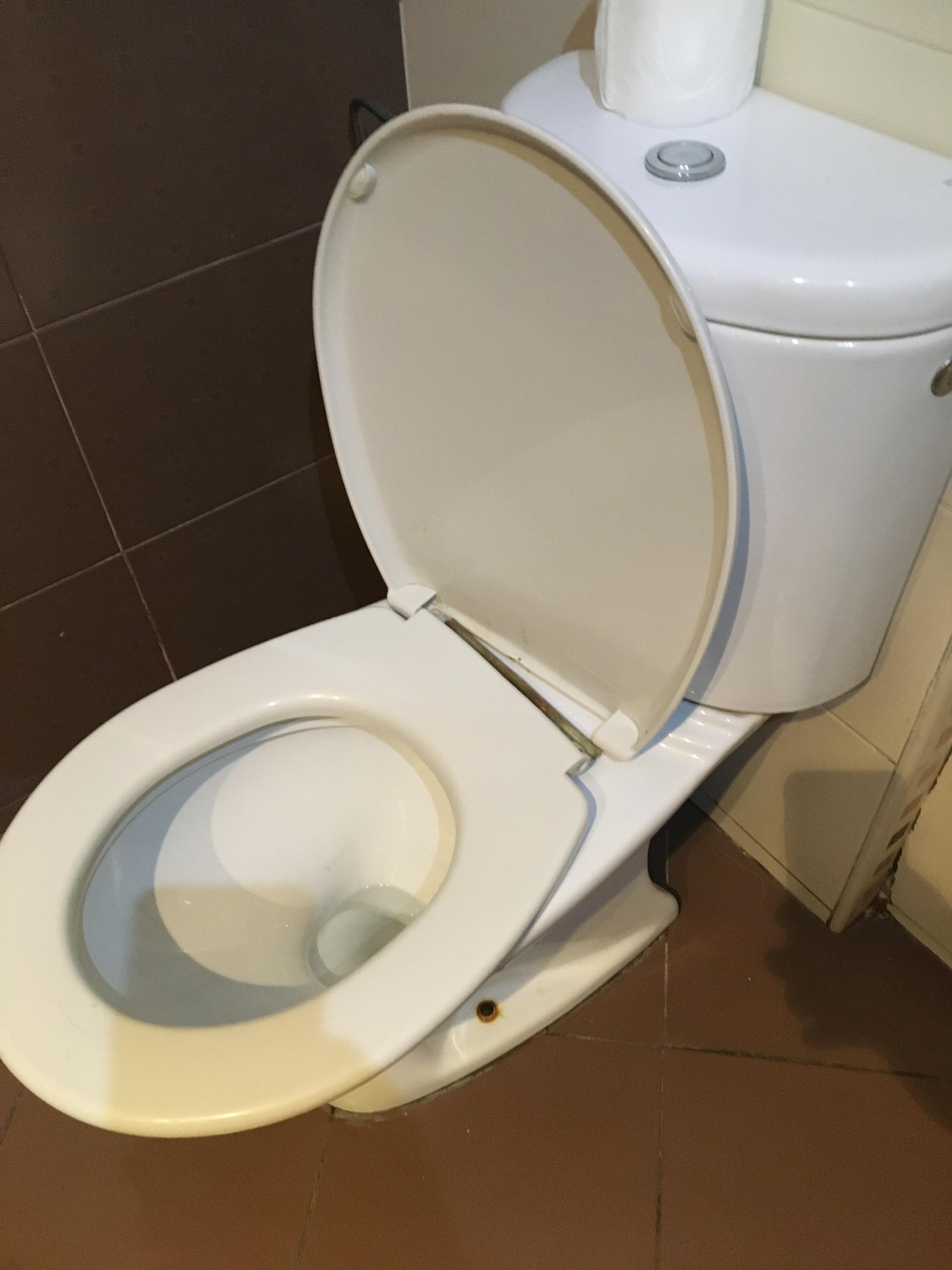 Broken toilet 