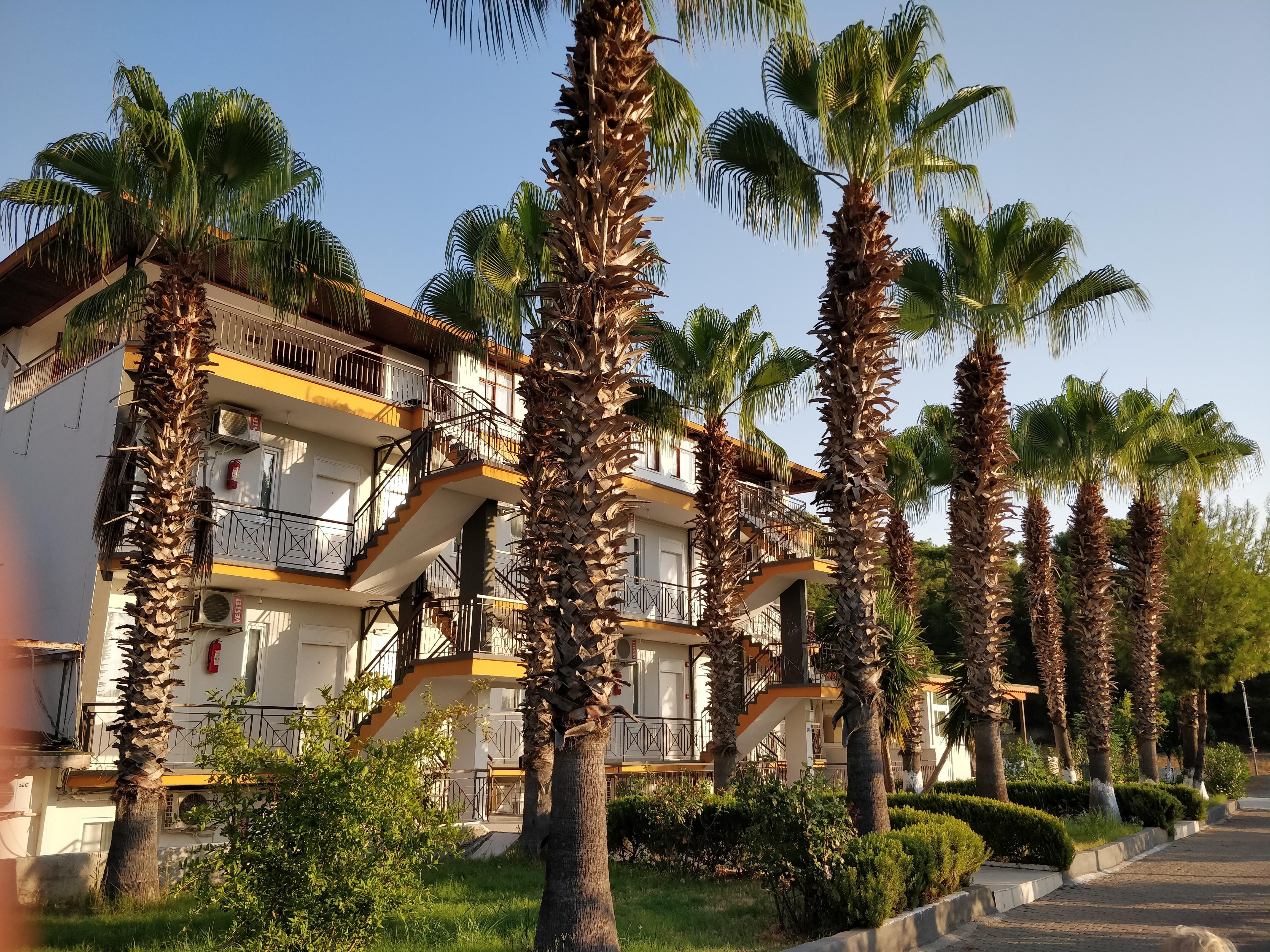 Внешний вид