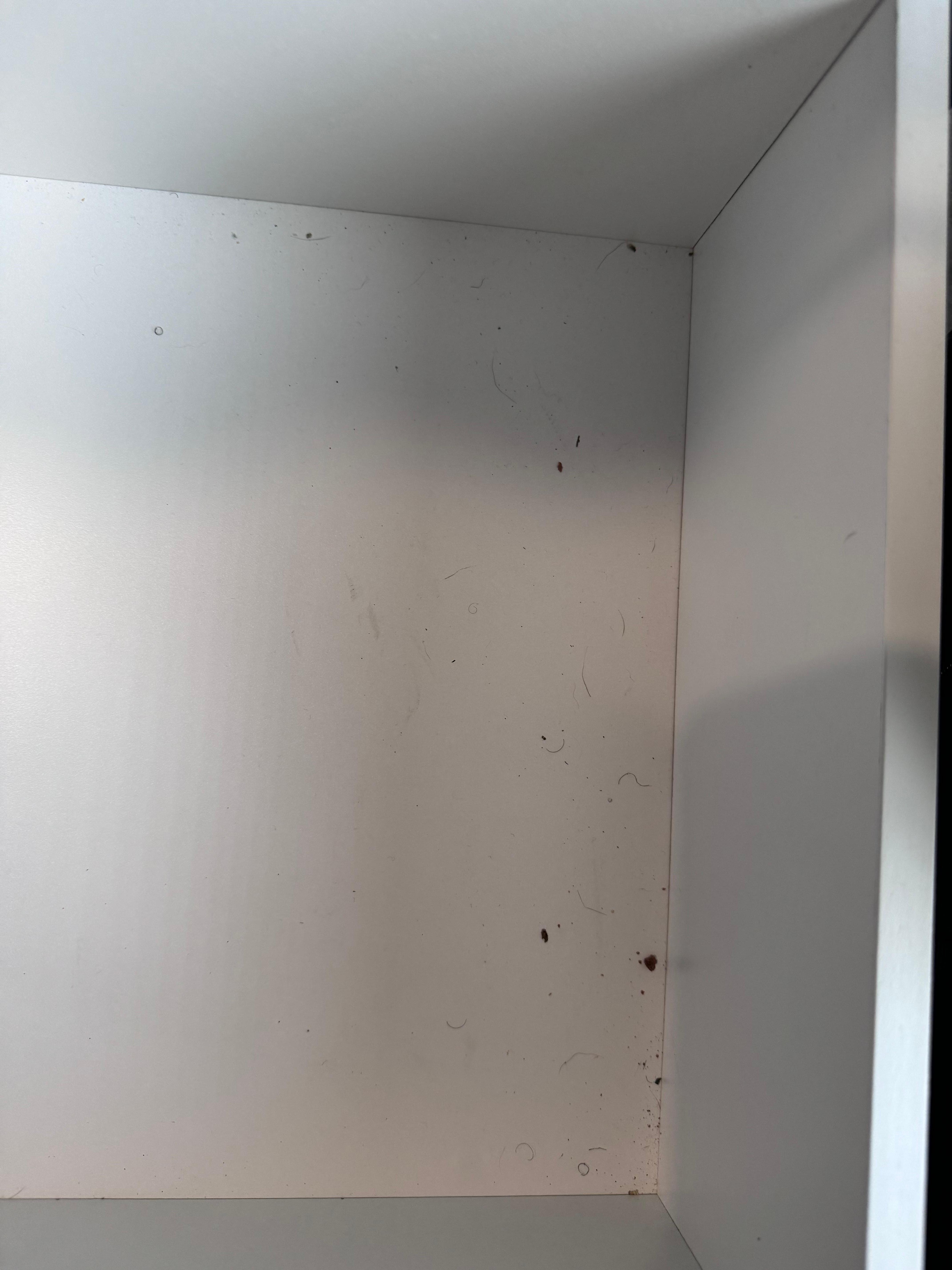 Bugs, hair, and what appears to be bug droppings in the drawers