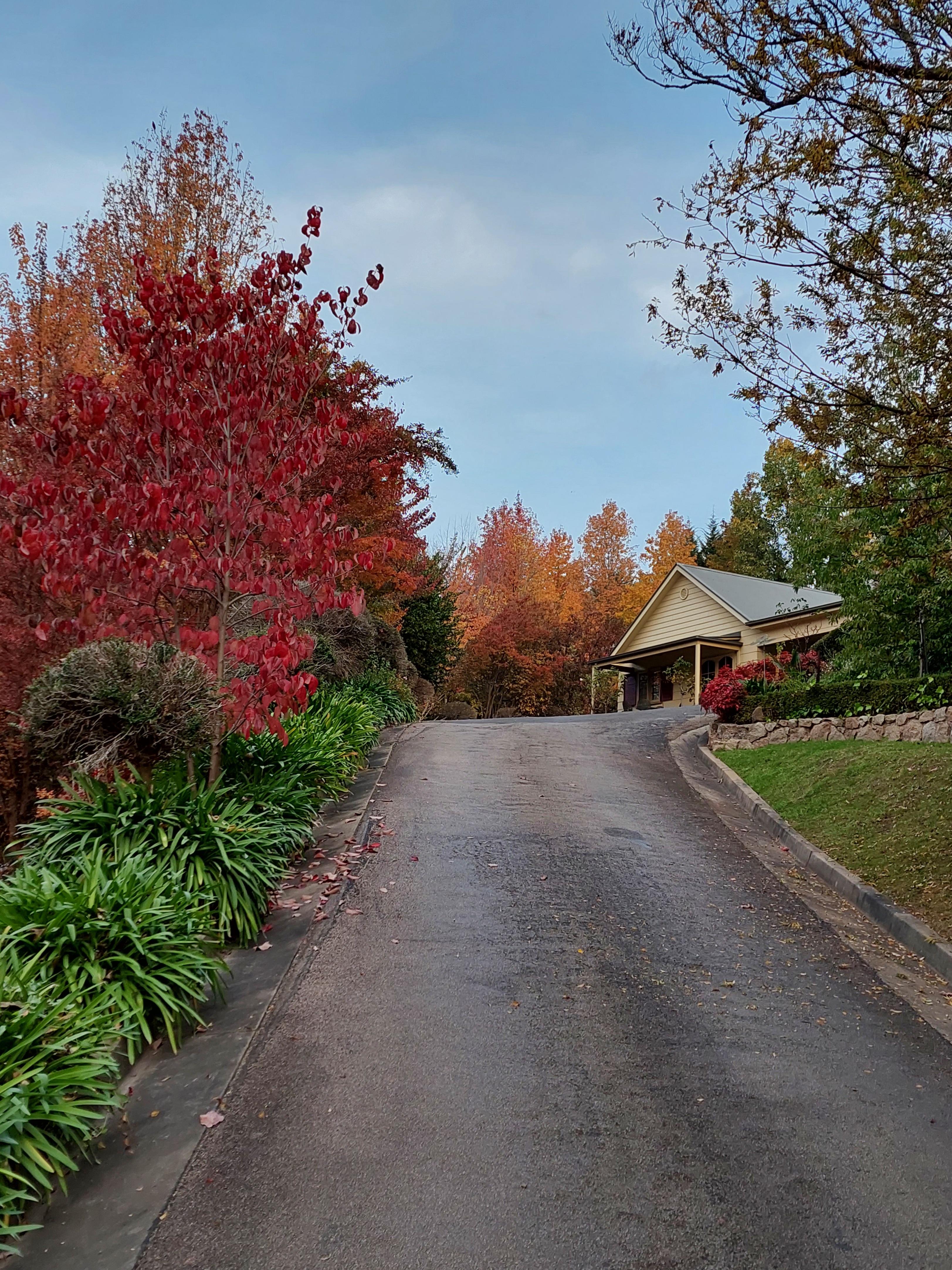 Looking towards cottage