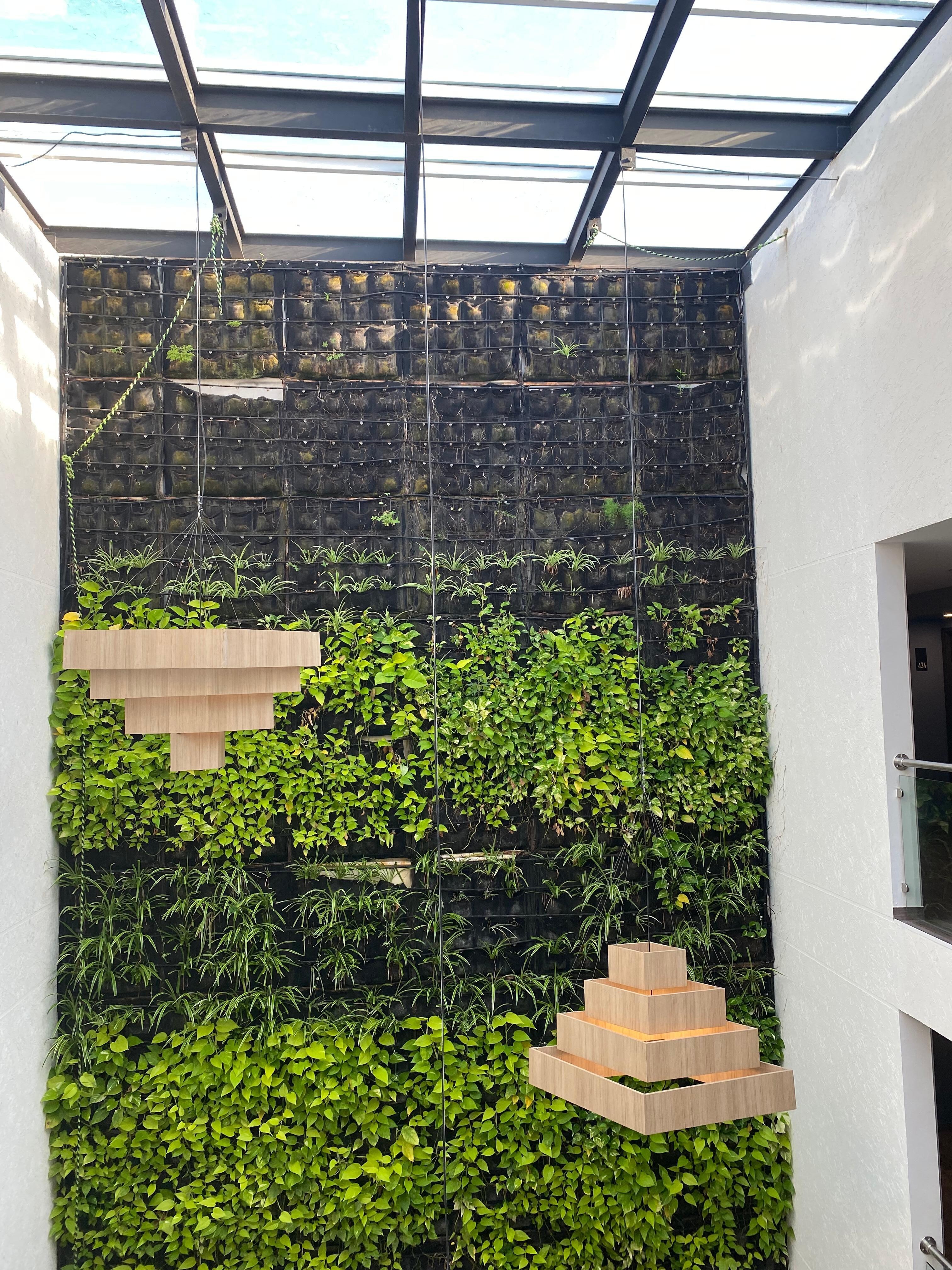 Plant wall top