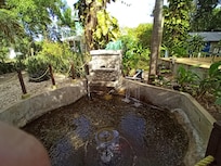 A little waterfall & fish pond in the middle of the Jamaican jungle