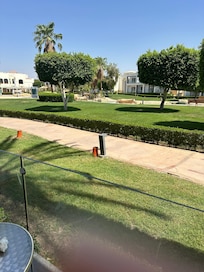 View from patio