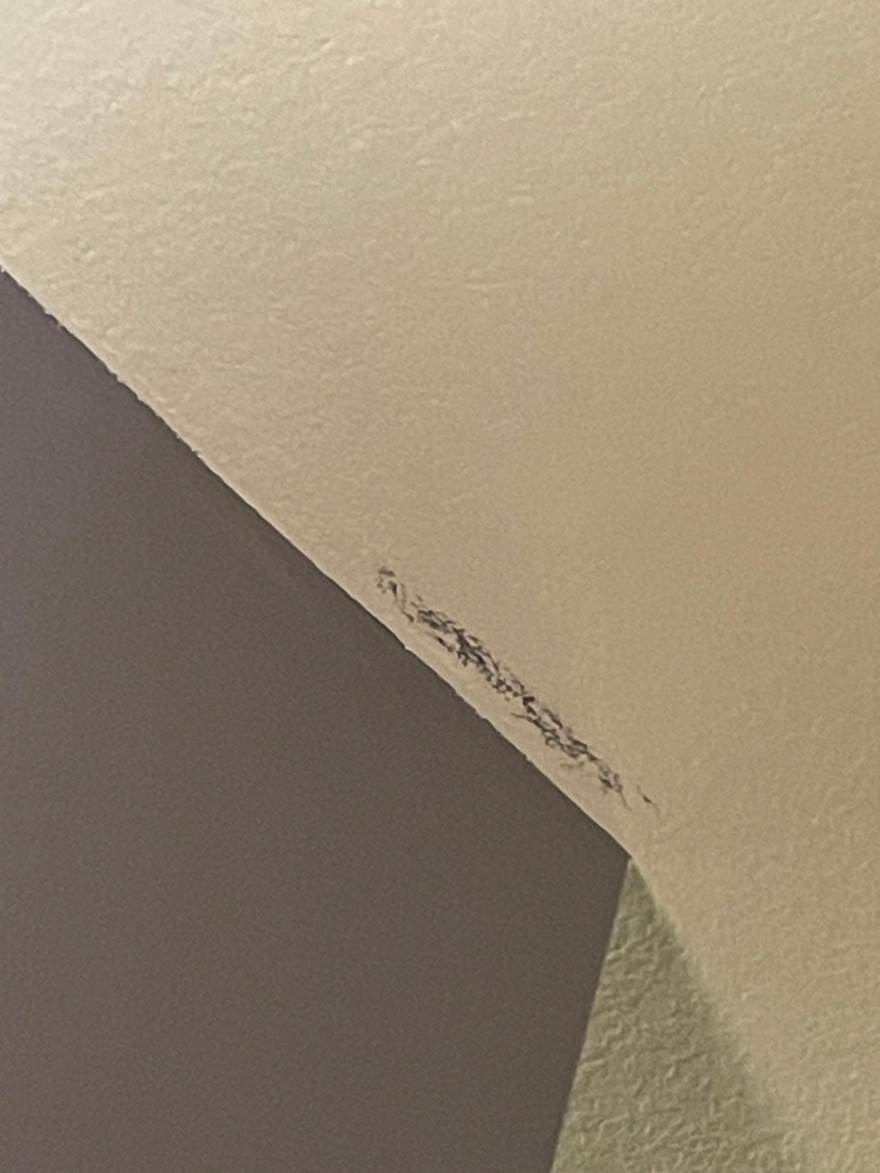 Oooppps. Who is the painter
