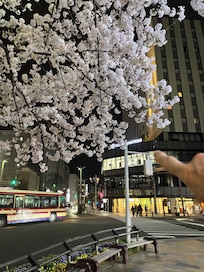 Hotel in background.
