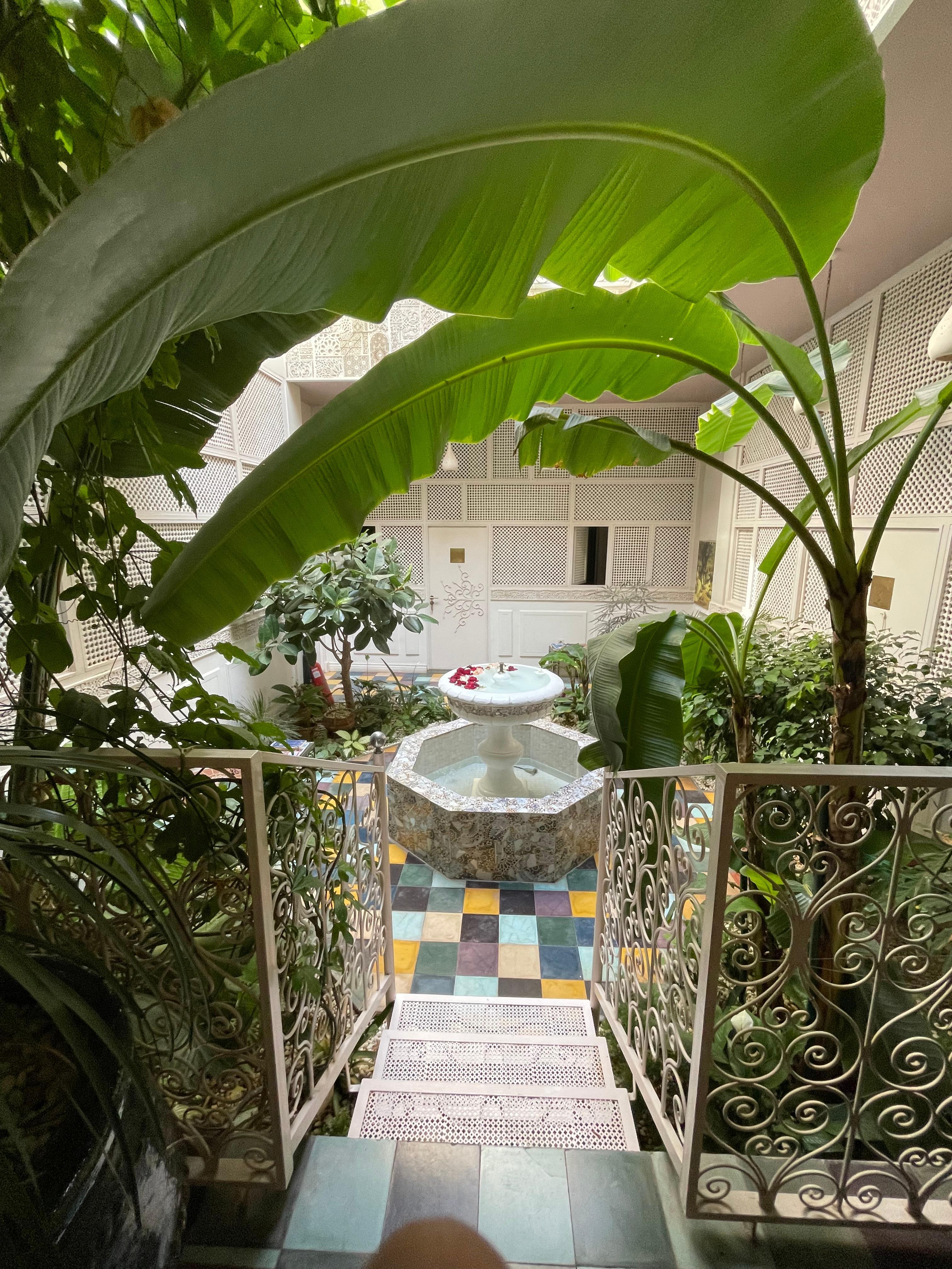 The smallest but greenest riad 