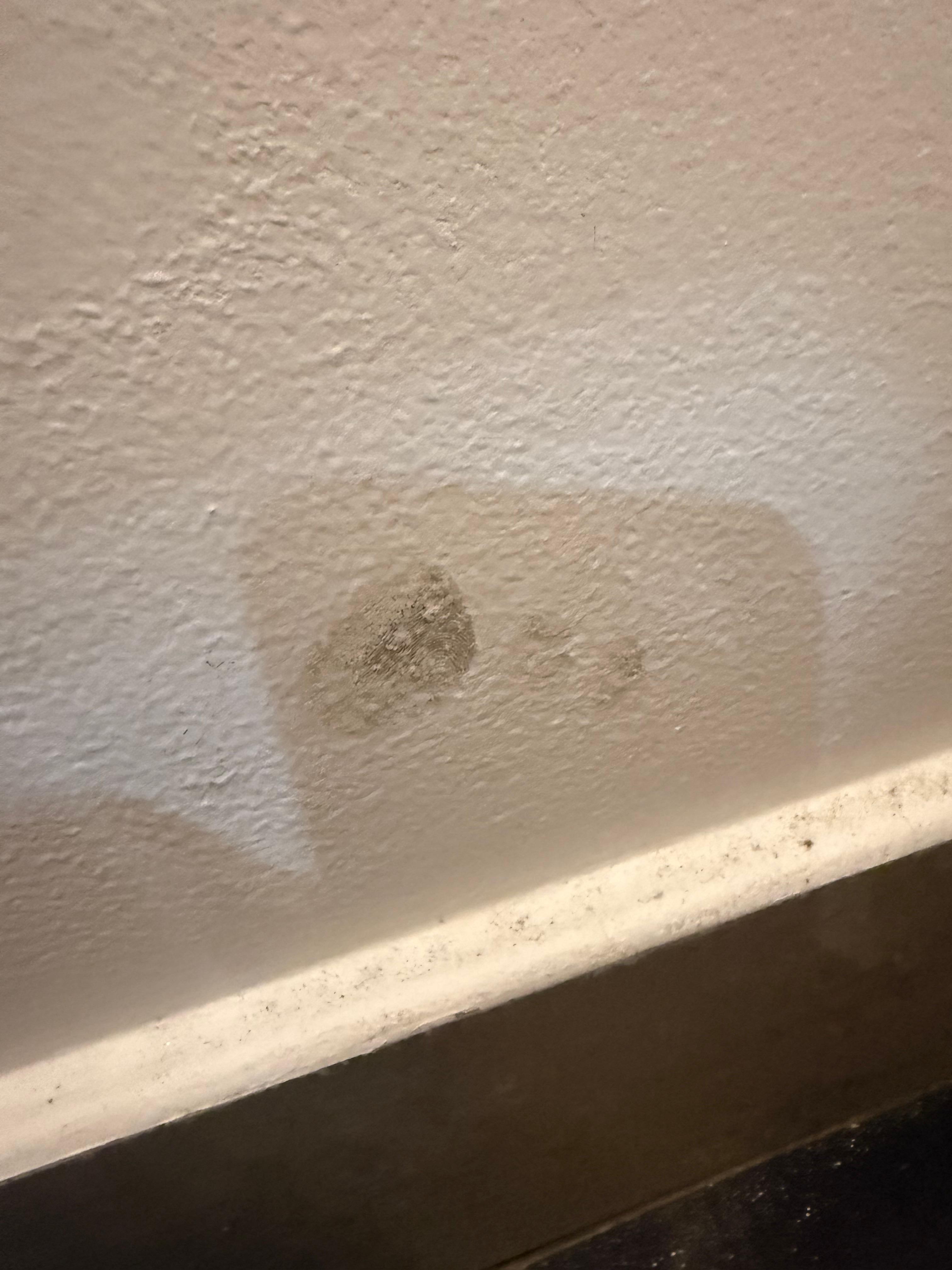 Toe prints in the Bathroom, on the wall in front of the toilet.