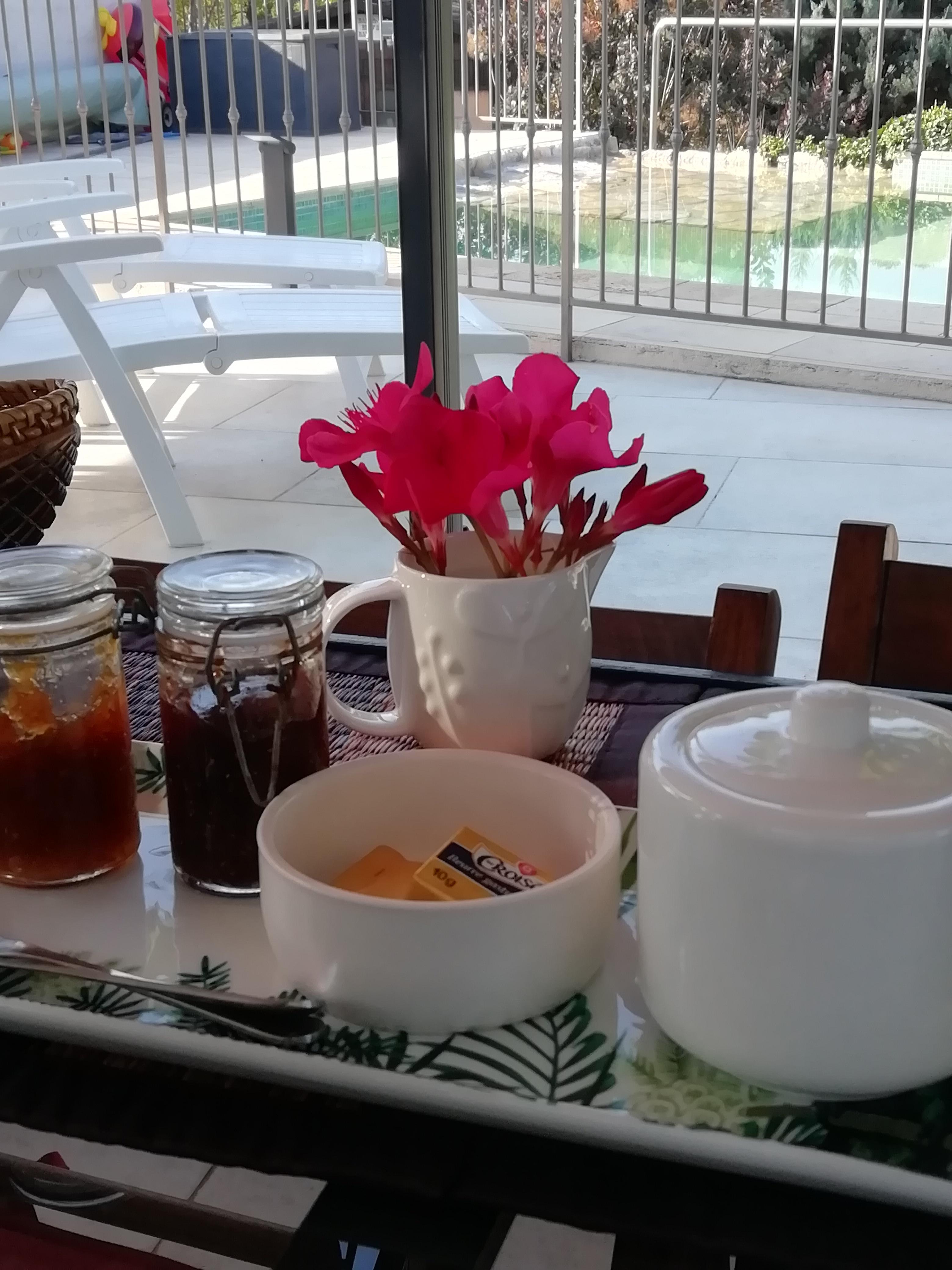 Petit déjeuner devant la piscine 