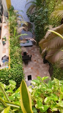 The hanging gardens in the atrium