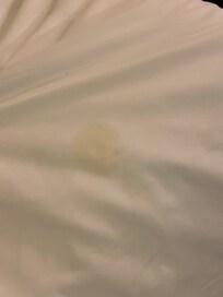Urine stain
