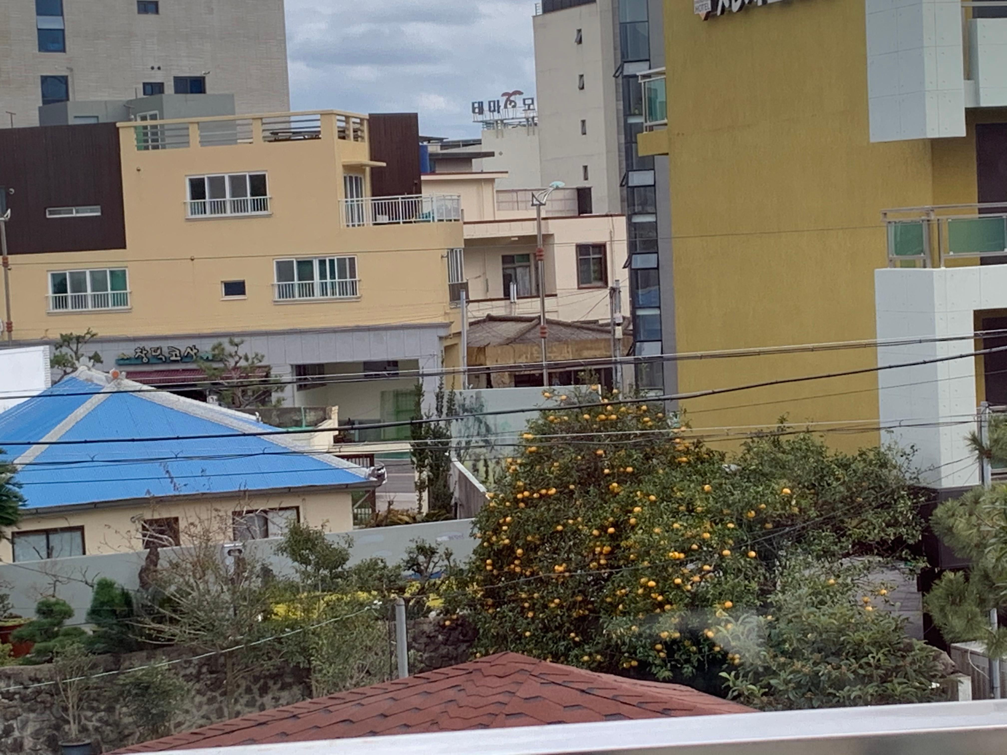 호텔방에서 바라본 외부