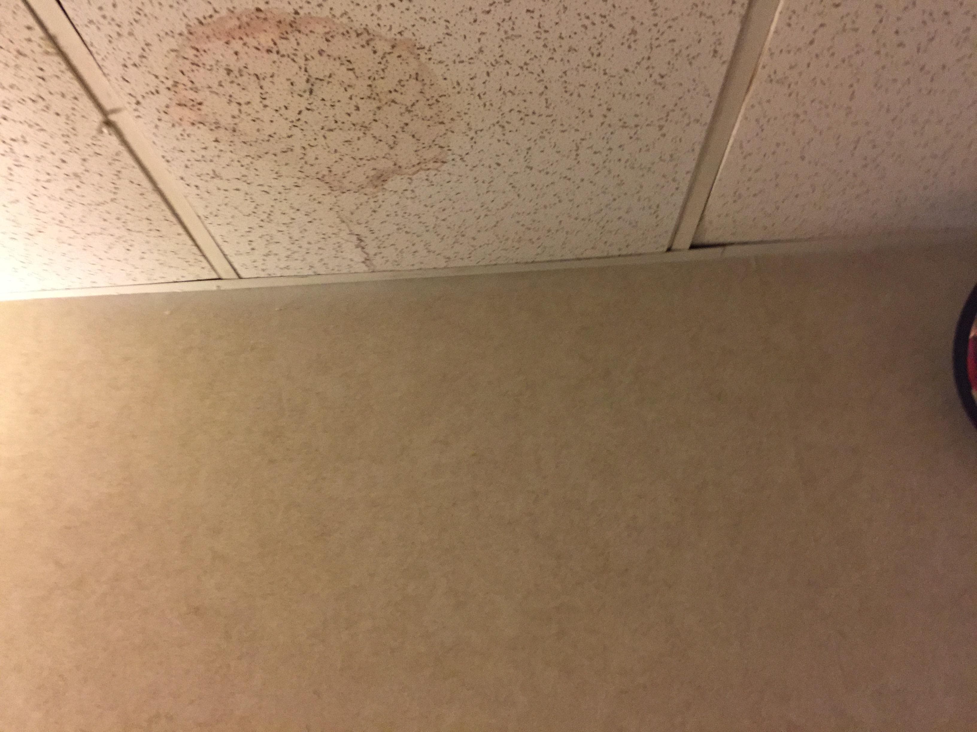 Even more stains