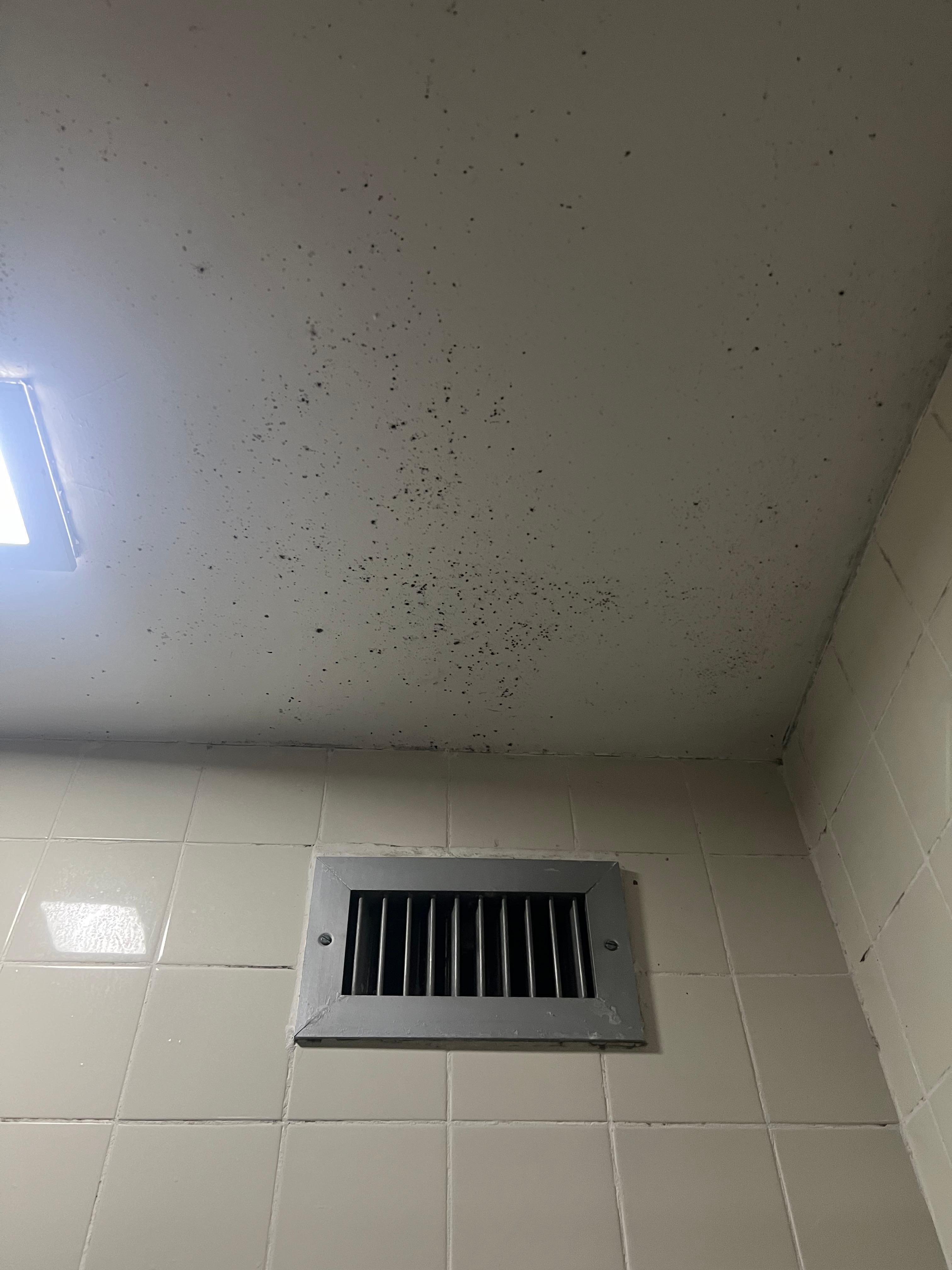 Mould in the shower