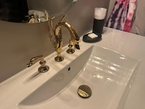 I’ve never seen a gold swan faucet before.
