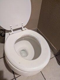 Worn and gross toilet seat