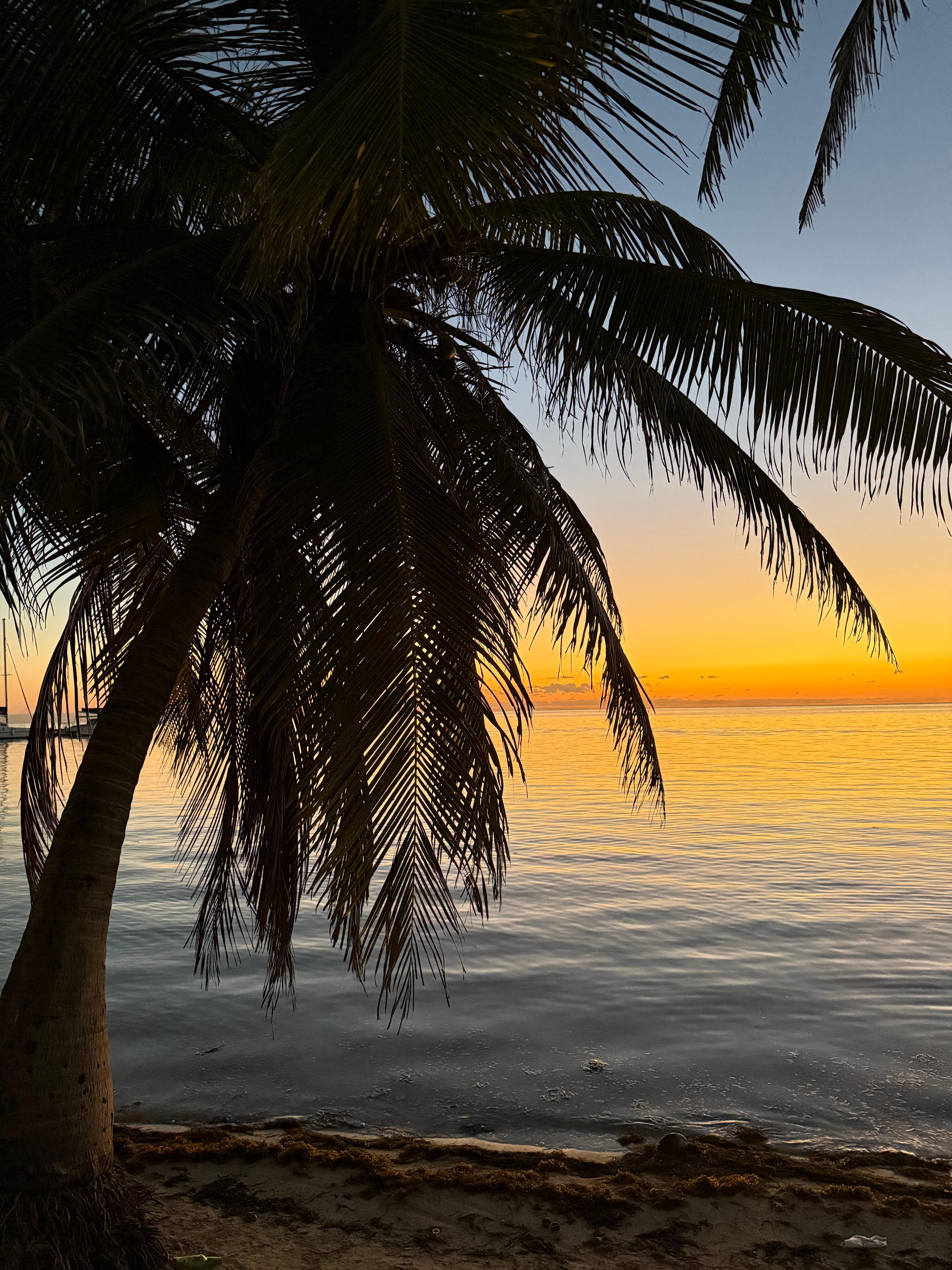 Beach right across from Palapa house