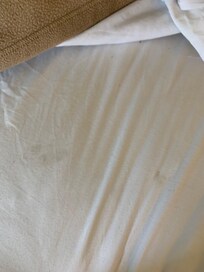 Stains on the bed