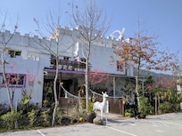 門口景觀