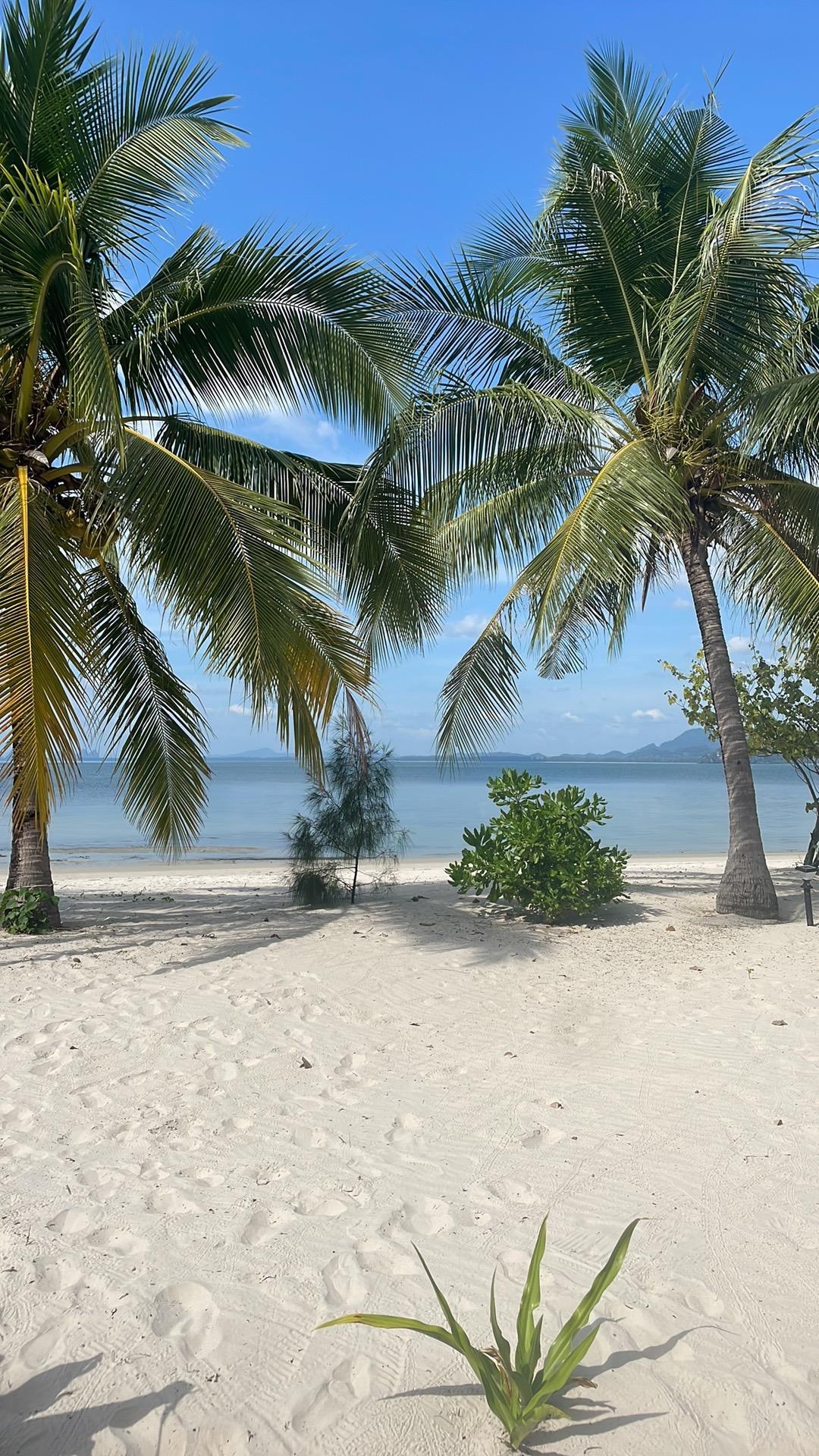 View from our bungalow
