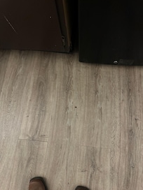 Cucaracha 4