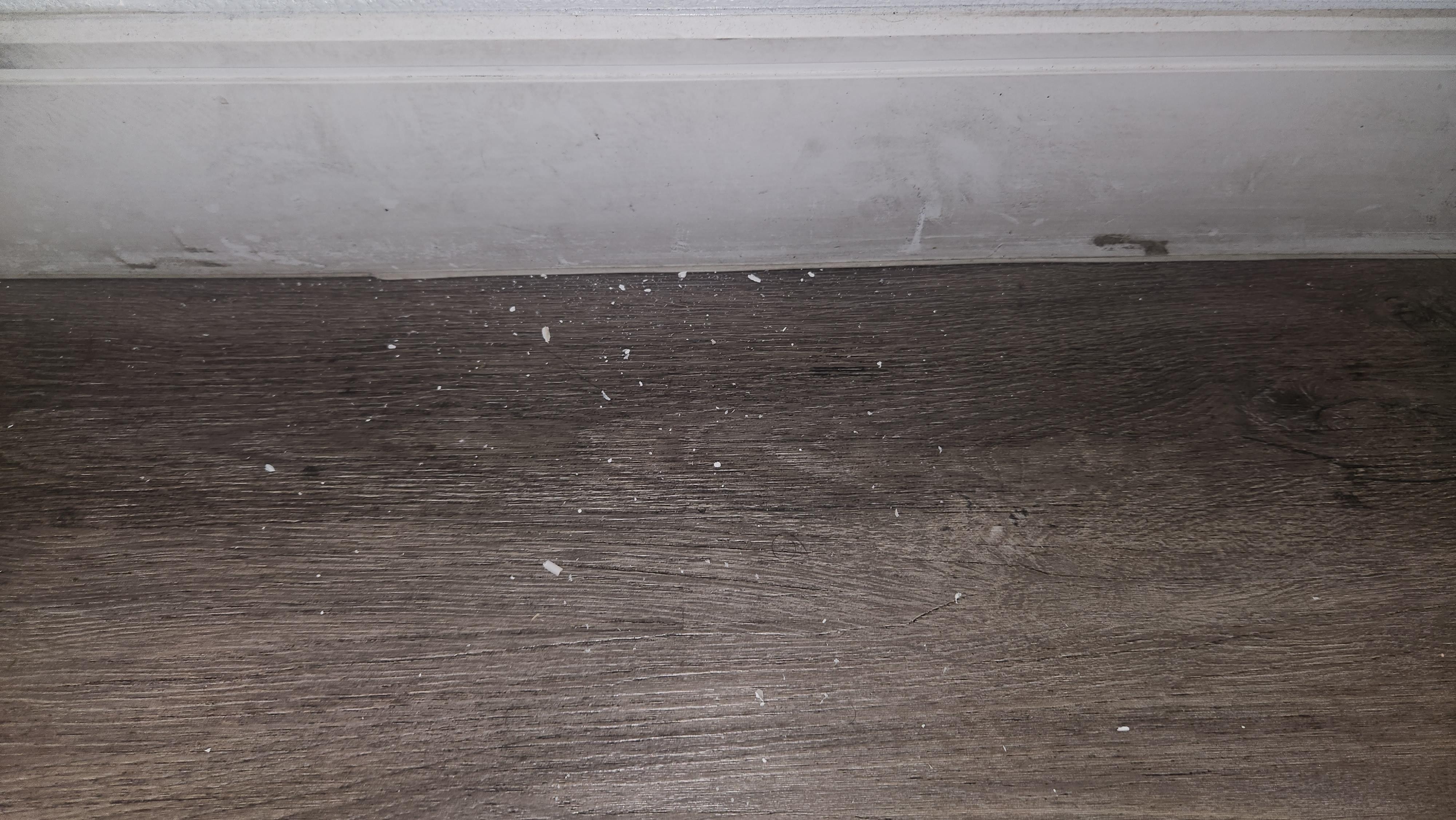 A lot of debris by the door
