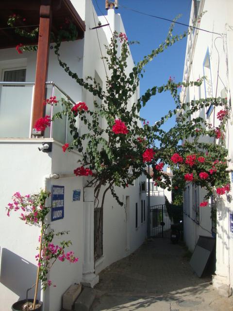 street near the pansiyon