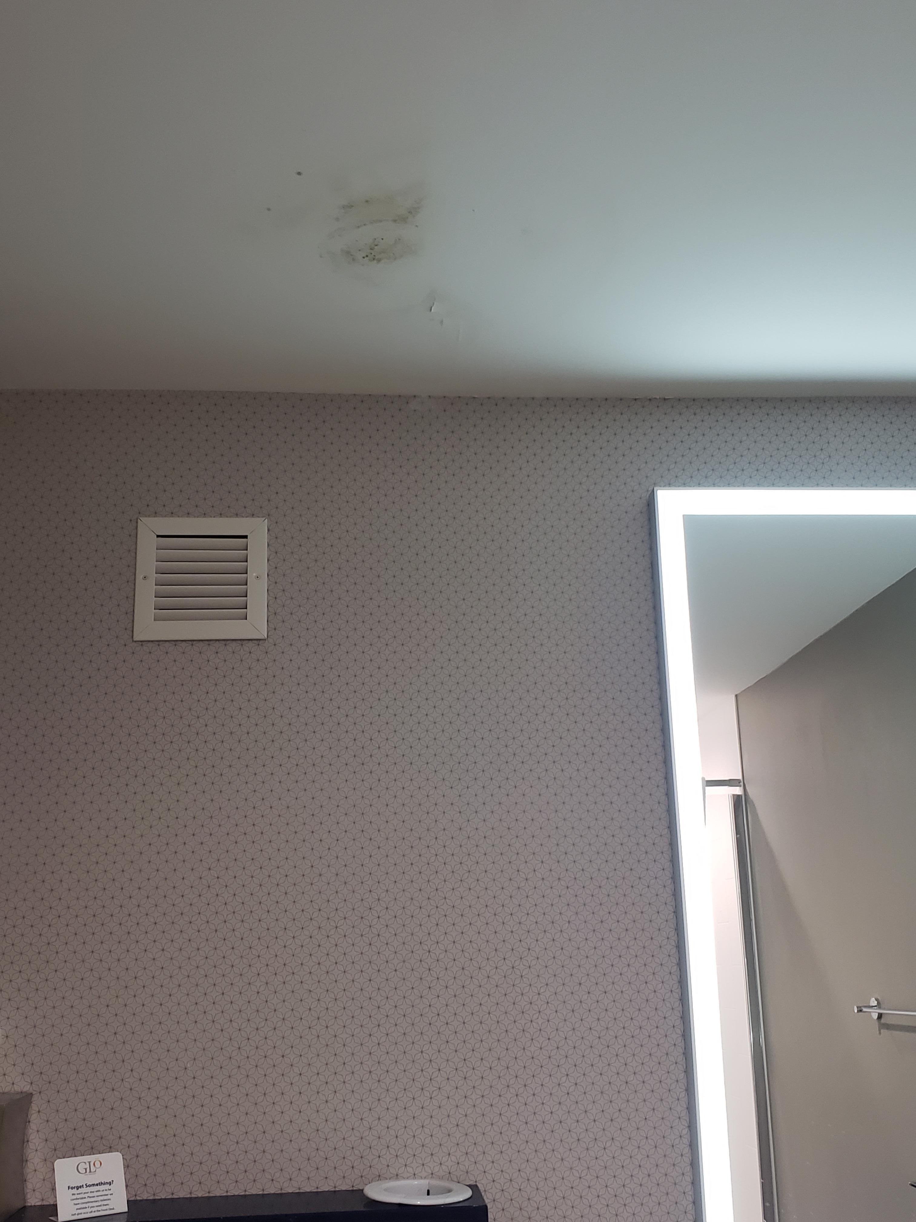 Bathroom ceiling