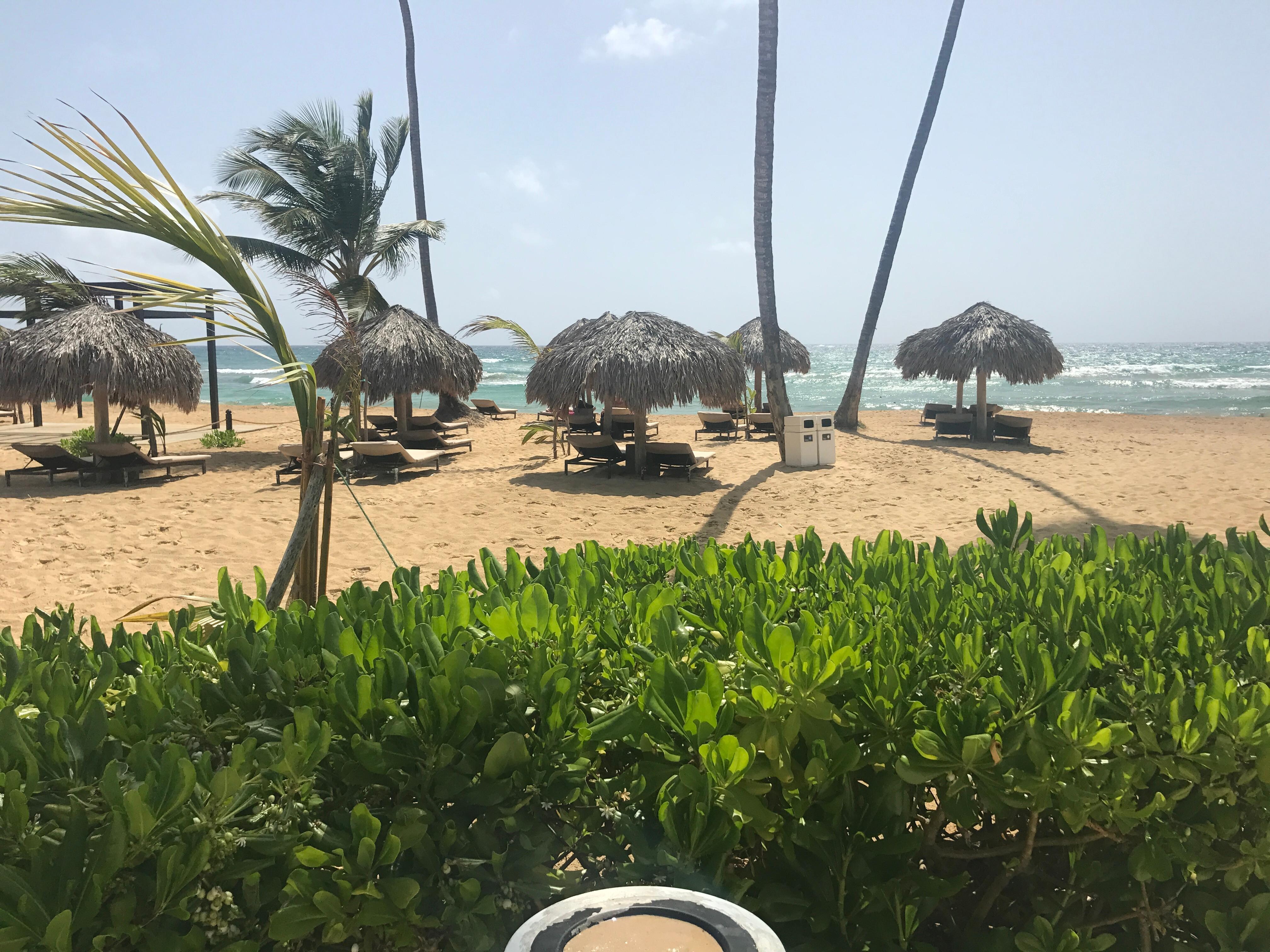 Beach Day