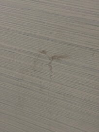 Blood on wall in bathrom