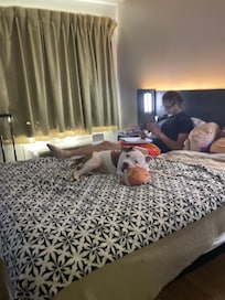 Getting some work done. The accent lights were so cute and convenient.