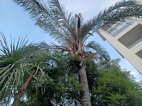 Around the swimming pool