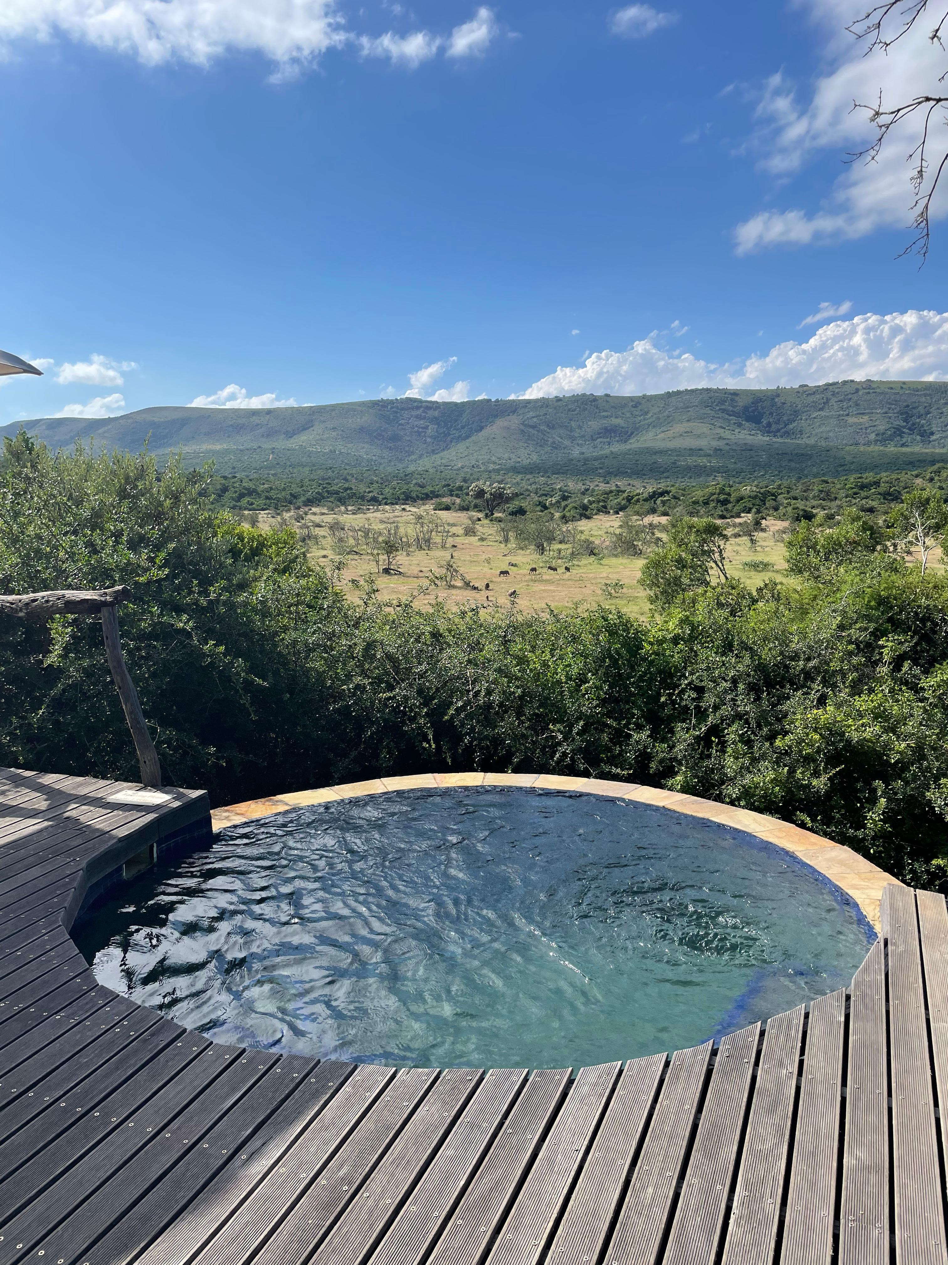 View to the wild animals from our private pool.