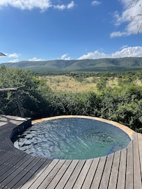 View to the wild animals from our private pool.