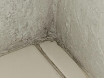 Mould in bathroom