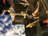 The unbelievable coy pond in the courtyard ~