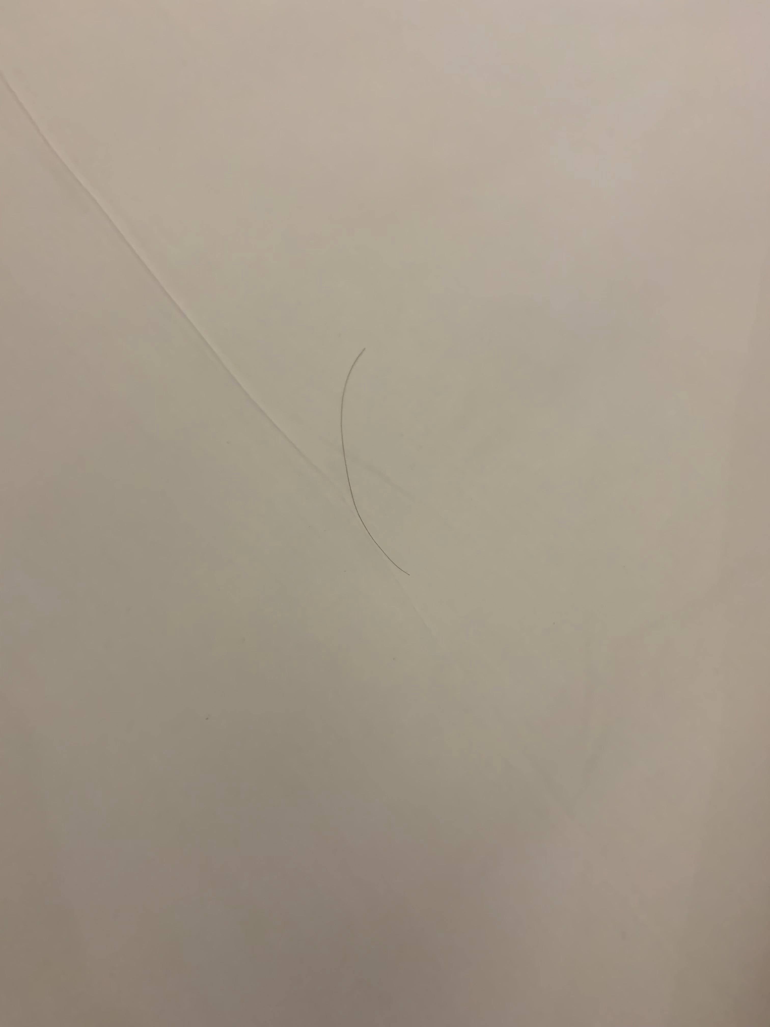 Hair on a bed that was not cleaned thoroughly