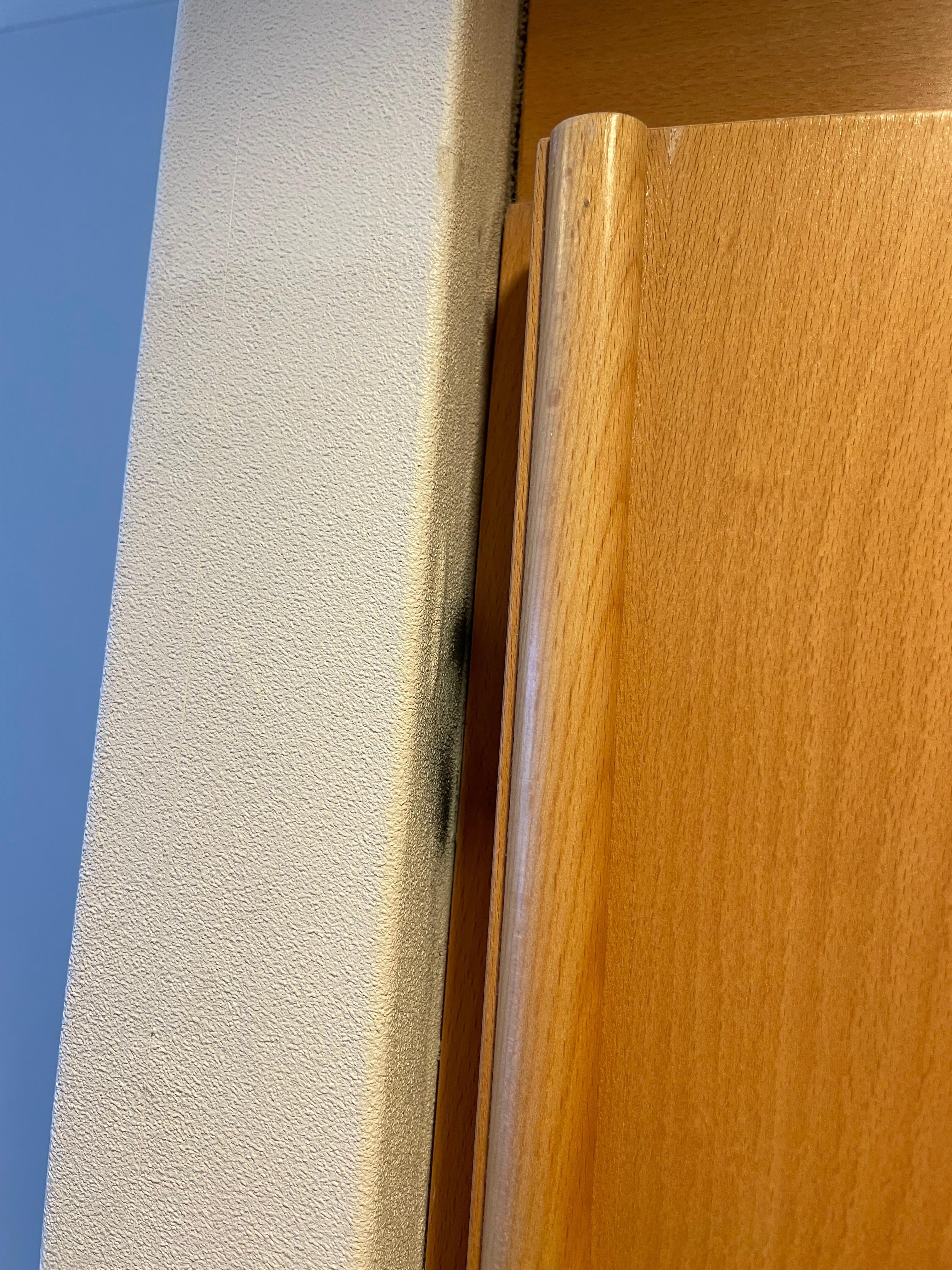 Schwarze Flecken an den Wänden