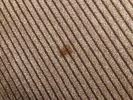 Large Carpet Stain