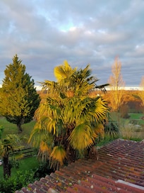 Vu de notre chambre