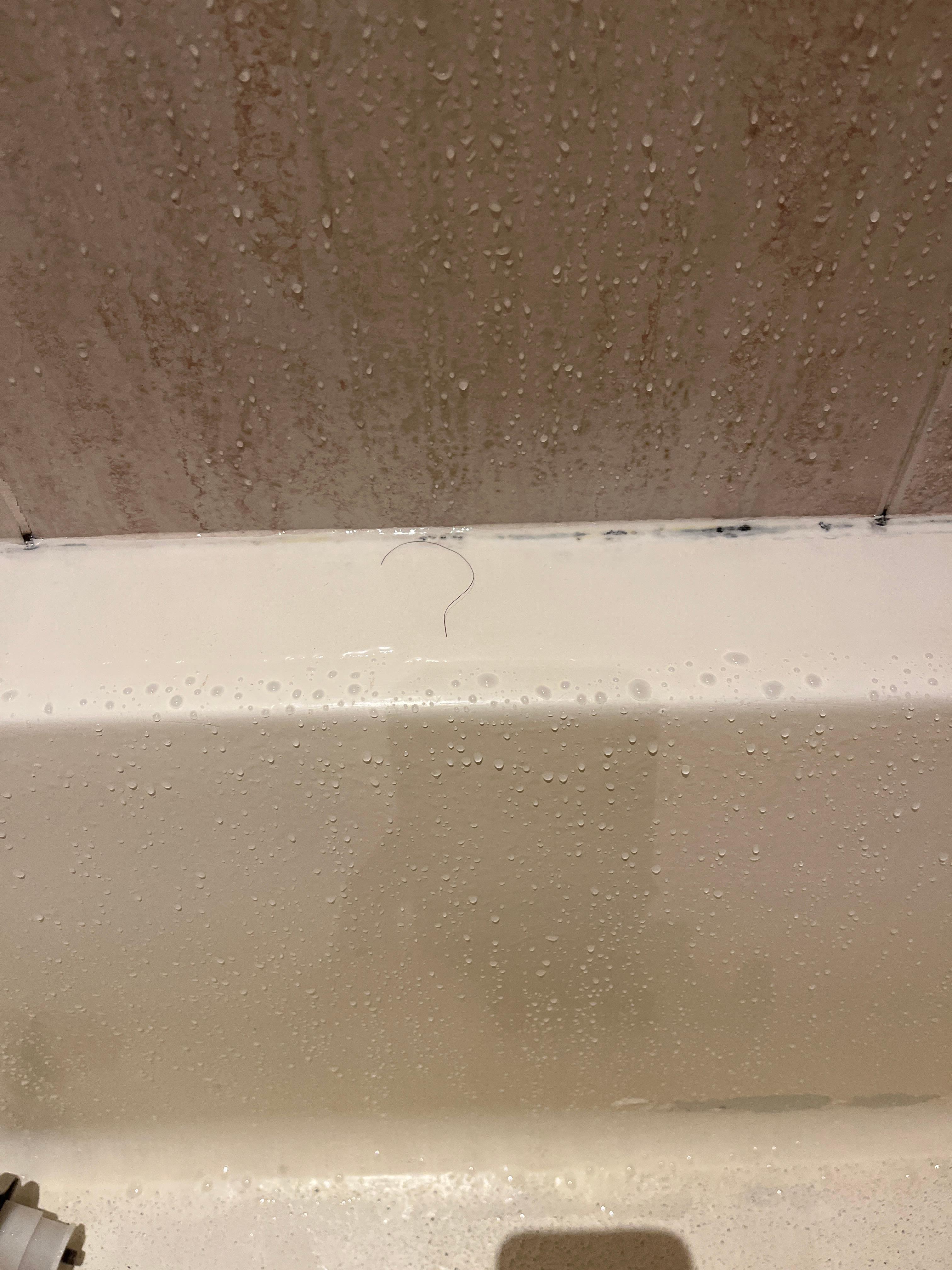 Hair in the shower… 