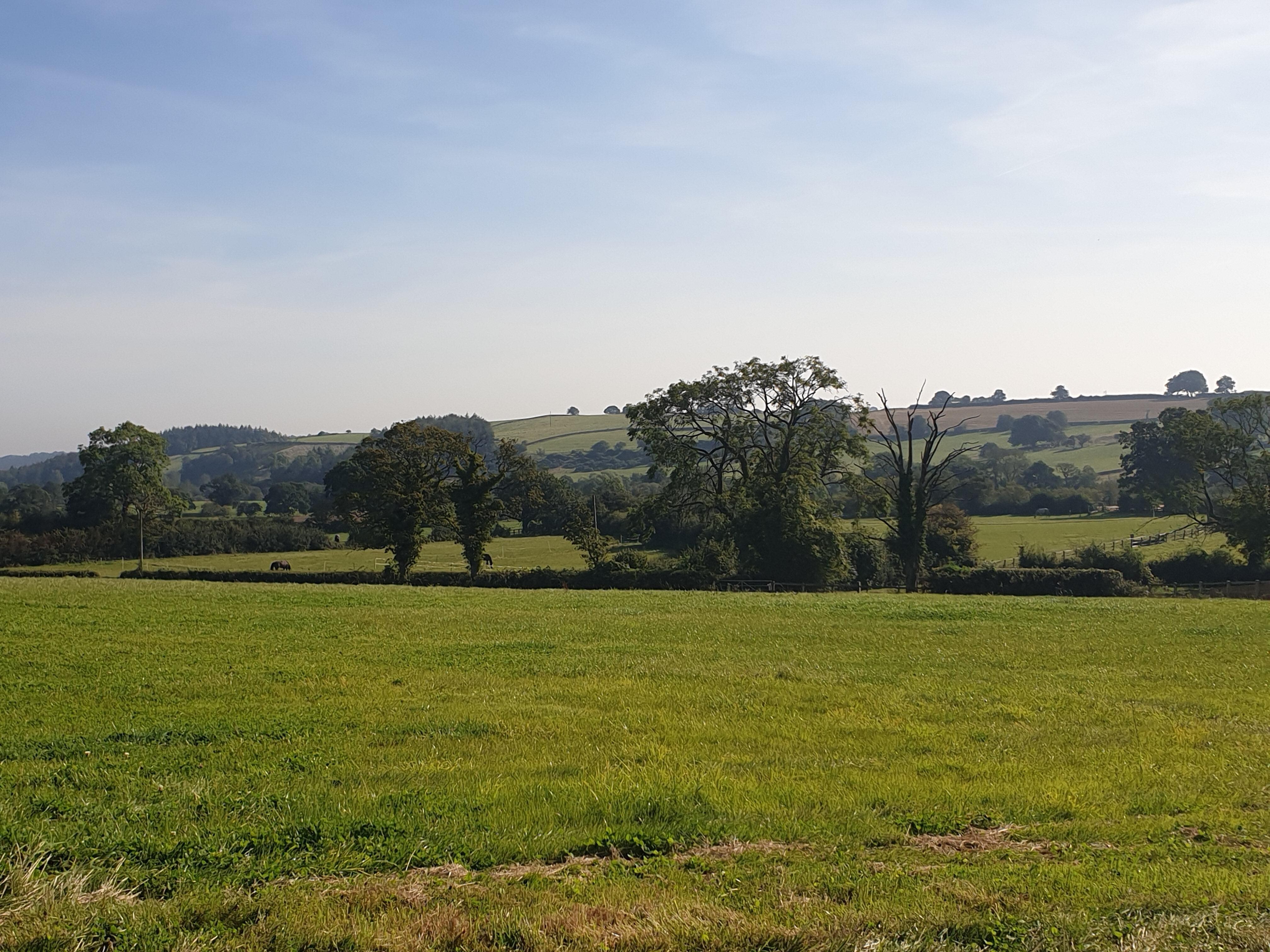 On site of riding school. 