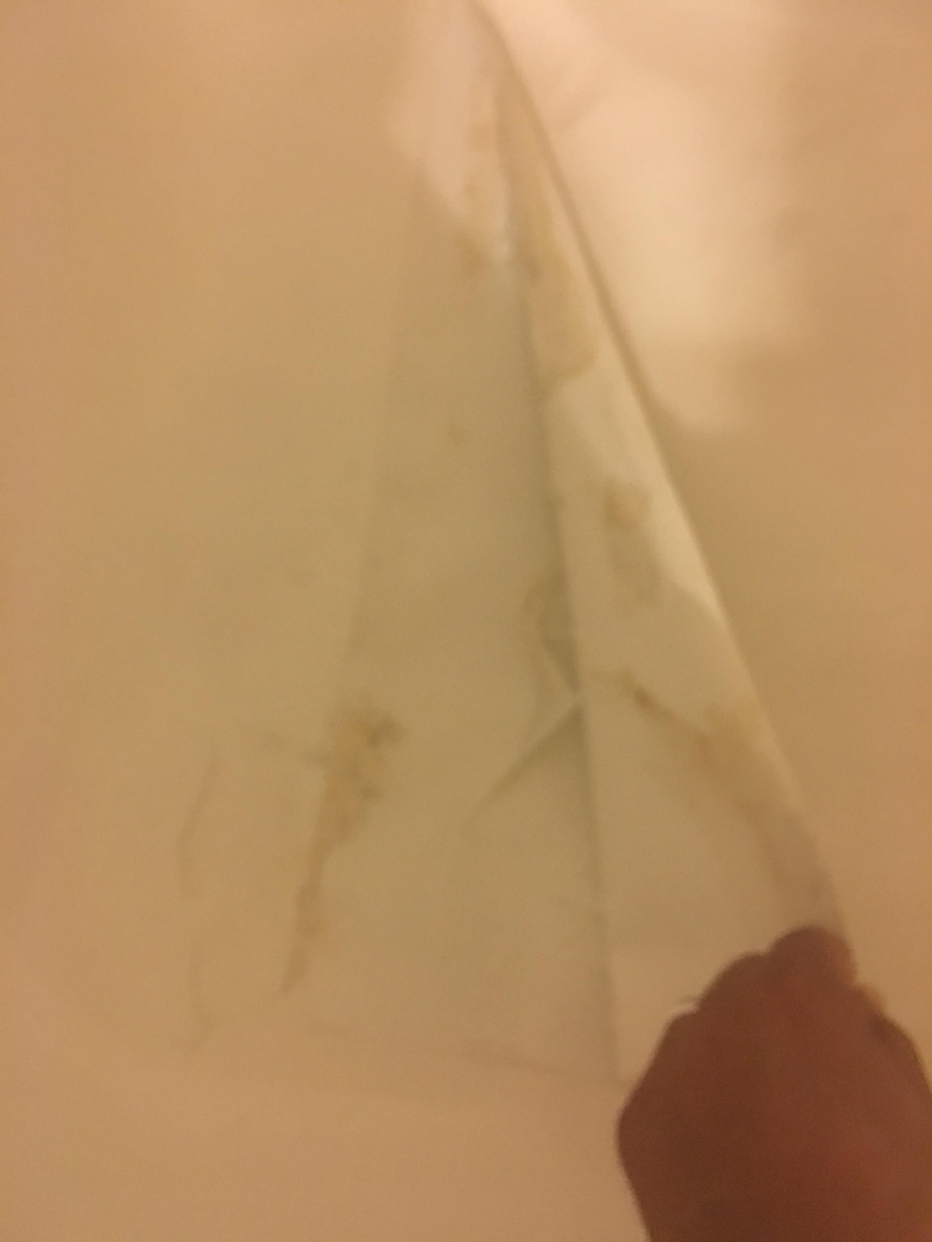 Under the bath mat/bib
