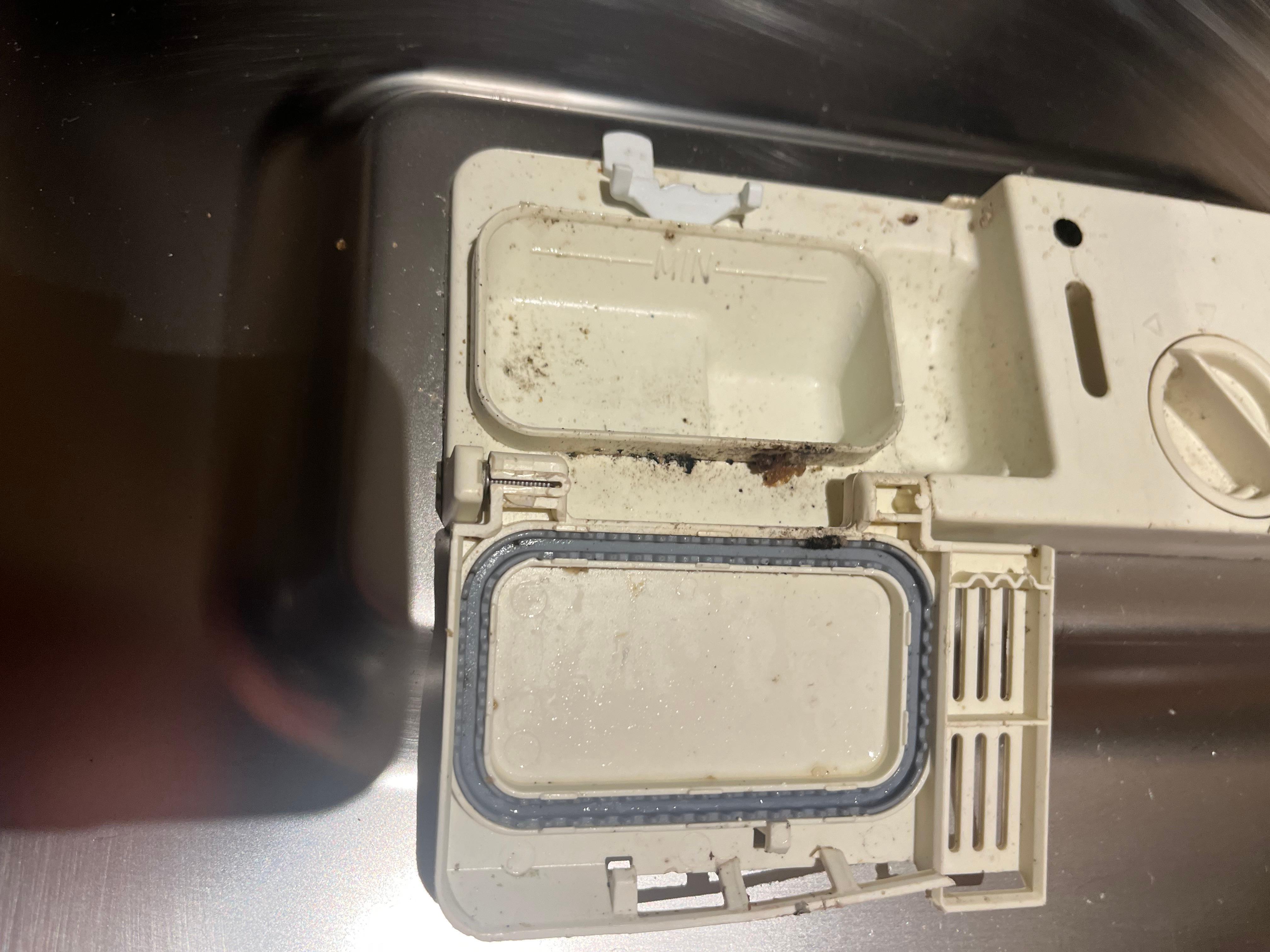 Non working dishwasher with mold