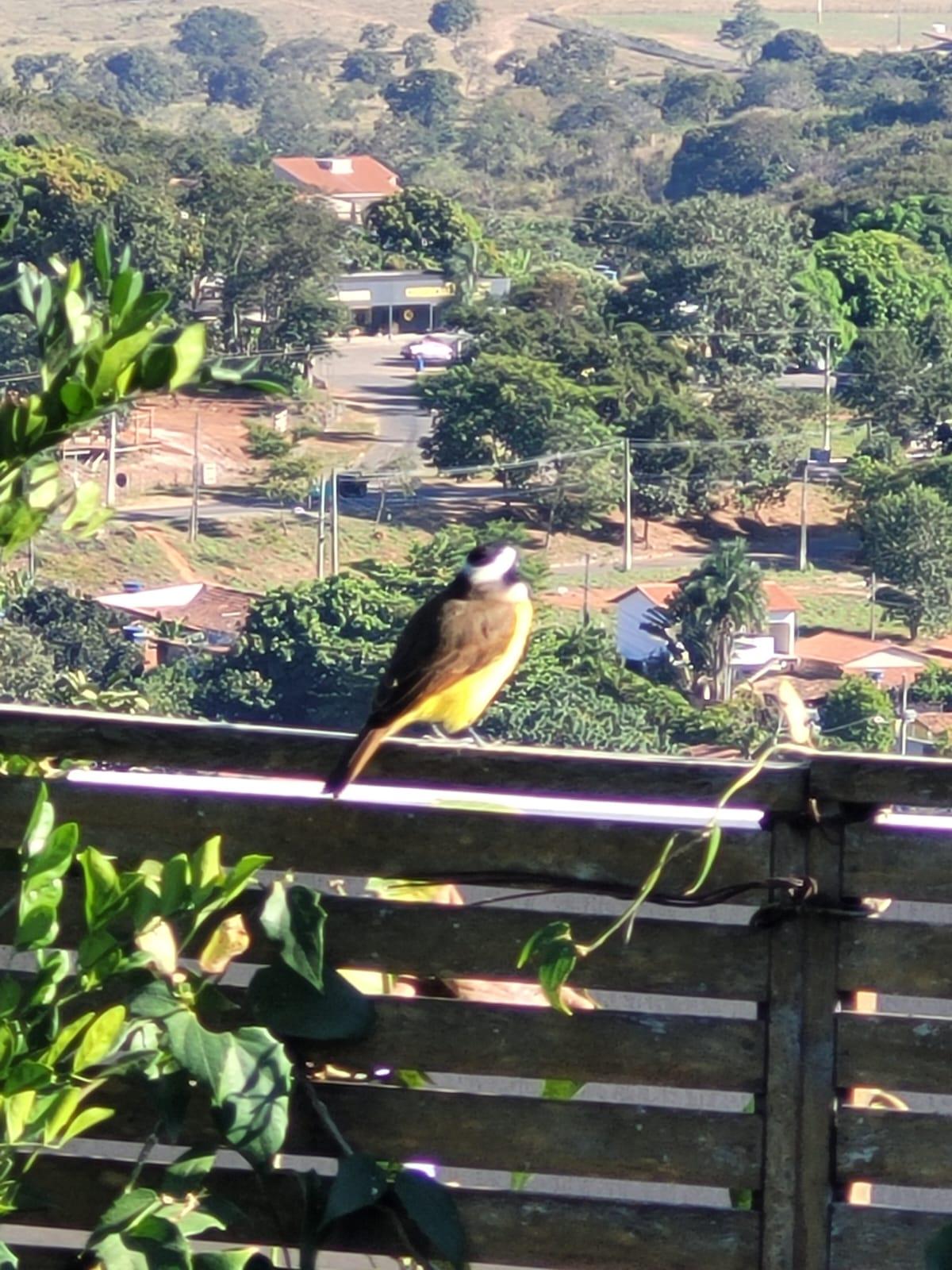 Quando a proposta é observar da pra ver a paz e a confiança deles !