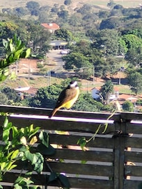 Quando a proposta é observar da pra ver a paz e a confiança deles !